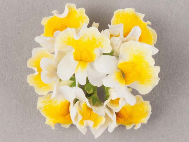 Sunpeddle Yellow White Revolutionary Compact Urban Nemesia Hybrid